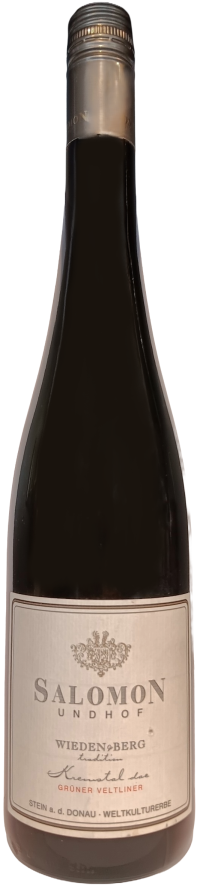 Salomon_GV_Wieden&Berg