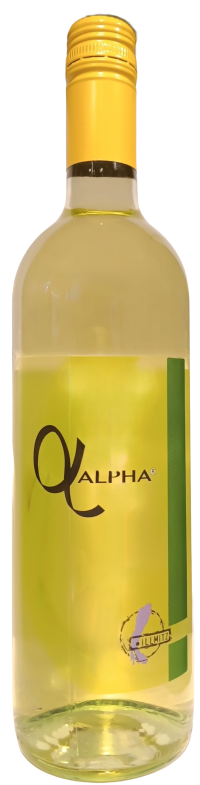 Schwarzbauer_Bouvier-Alpha